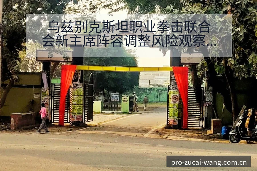 乌兹别克斯坦职业拳击联合会新主席阵容调整风险观察分析 - 足彩网